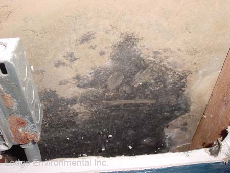 Mold Inside Sheet Rock Wall